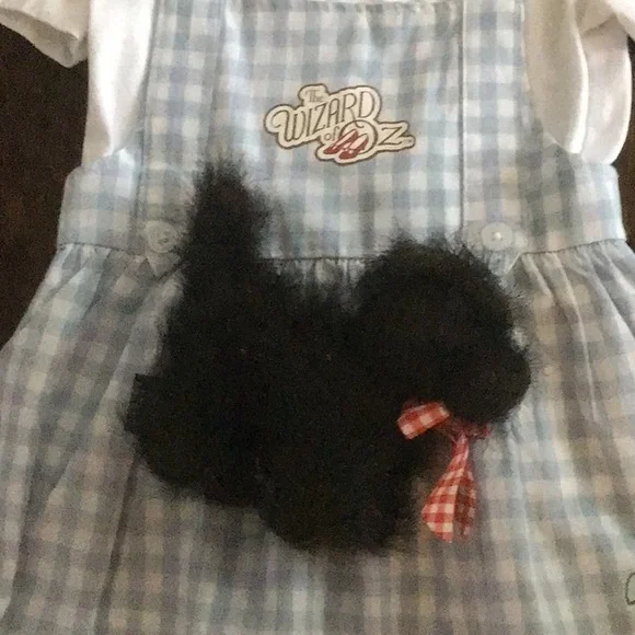 Wizard of OZ ~ Dorothy & Toto Blue Gingham Pinafore Dress with White T-Shirt - Picture 4 of 13
